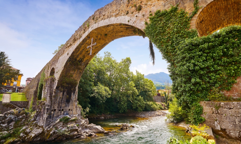 Authentic Asturian Experience