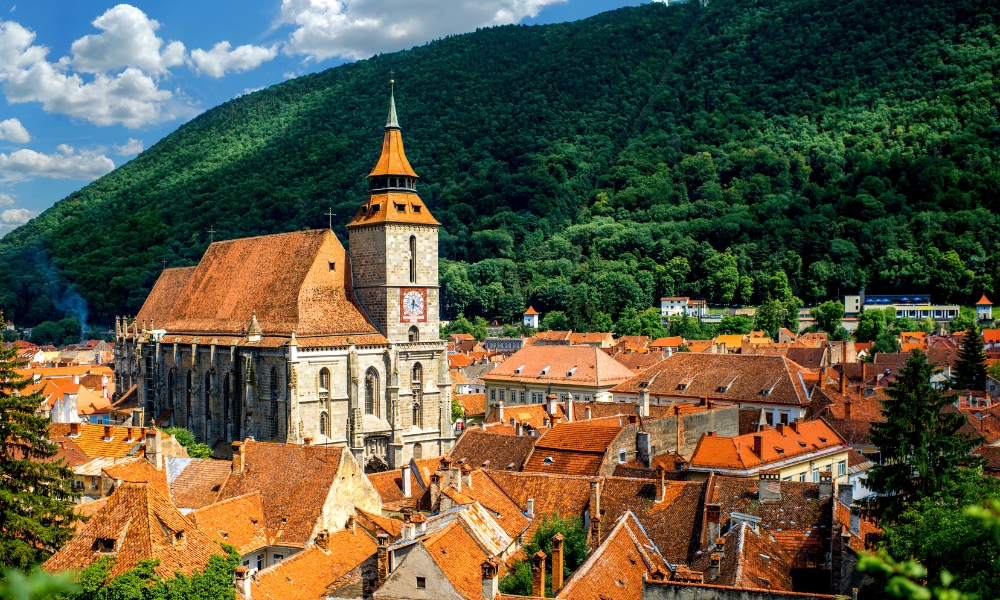 Photographing Romania's Wild Side