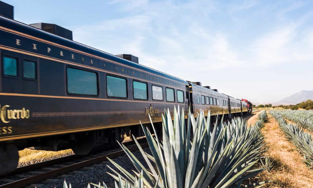 The Journey From Guadalajara to Tequila