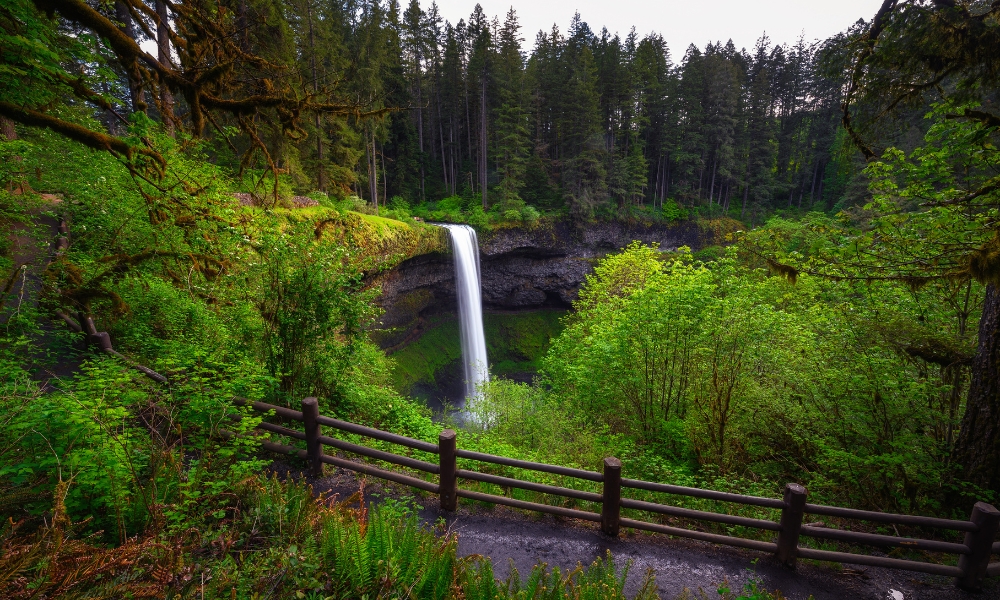 Silver Falls State Park, Oregon