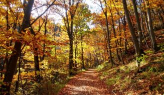 A Canoe Guide to Exploring Adirondacks’ Autumn Foliage