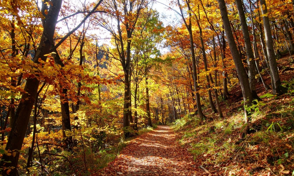 Adirondacks’ Autumn