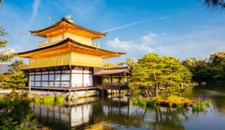 The Rise of Runcations and Scenic Running Travel