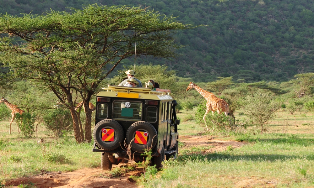 The African Safari