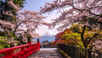 Top Japan Flower Spots to Visit After Sakura Season