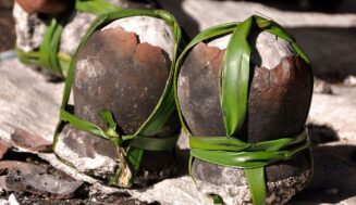 Dinosaur Egg Salt and the Lost Flavor of Bohol